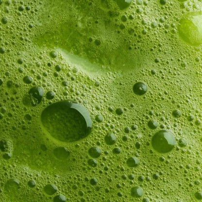 Ohashi Matcha 1kg